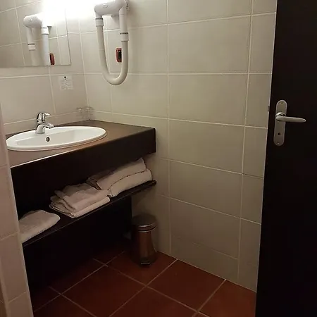 Hotel Logis Schaeffer- Restaurant Le Saint Georges Serrières-en-Chautagne